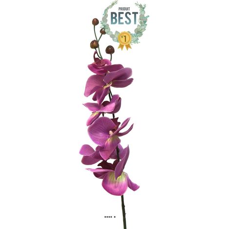 Tige d'orchidée phalaenopsis artificielle, H 78 cm Pourpre - BEST - couleur: Pourpre
