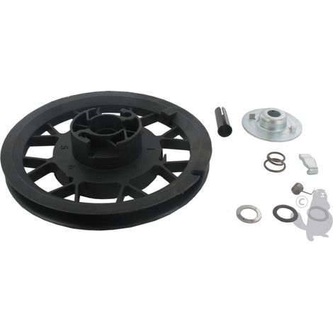Poulie De Lanceur Tecumseh Pour Moteurs Vantage Ohv Et Synergy. Origine 16630041, 29780016 ( Origine : 16630041 )
