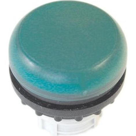 Lampe M22-LG Flachkopf grün (1/5)