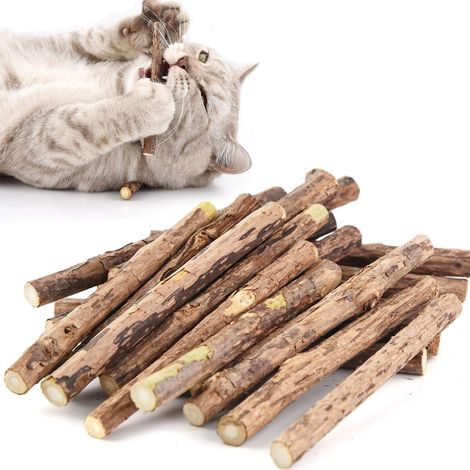 Herbe à Chat Jouet pour Chat,Matatabi Bâtons pour Nettoyer Les Dents Molaires Jouet à Mâcher pour Chaton,Paquet de 20 (1/5)