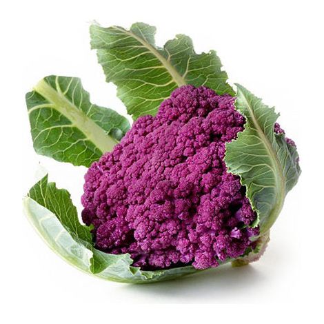 Semi di cavolfiore violetto di Sicilia natalino piante per orto e giardino