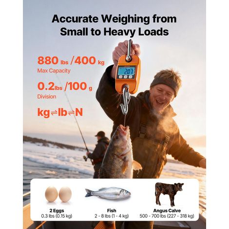 Balance à Grue Numérique 400 kg Balance Suspendue Précision 100 g Peson Électronique Portable pour Ferme, Chasse, Pêche, avec Boîti… (1/5)