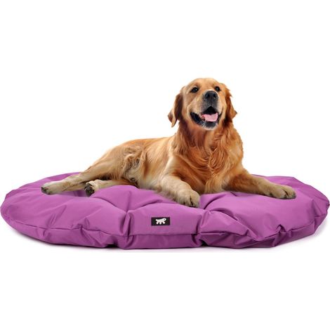 Ferplast Cuccia Cane Cuscino Cane Cane Taglia Grande Tessuto Antigraffio Lavabile in Lavatrice a 30° Materassino Cane Impermeabile 85 x 55 x 3 cm. Viola (1/5)