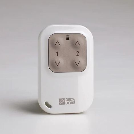 Telecomando delta dore Tyxia 1400 bianco compatto 2 vie