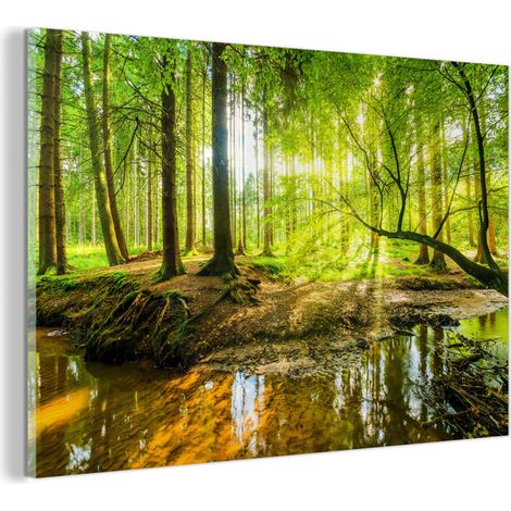 TABLEAU EN PLEXIGLAS Forêt - Paysage - Eau - Arbres - Soleil - Vert - Nature Décoration Murale 120x80 (1/5)