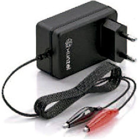 CARICABATTERIE UNIV. BATTERIA ACIDO-PIOMBO/LITIO 12 / 24V - 100 W