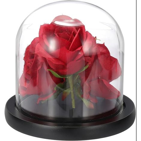 Cloche en Verre De Présentation, 4.7" x 4.7" Dôme avec Base Bois pour Table, Décorative Plantes Décoration Maison Bureau Mariage Fête, Noir (1/5)