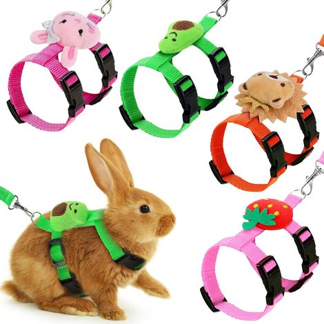 Lot de 4 harnais et laisse réglables pour lapin, 1,5 x 120 cm, laisse, anti-évasion, gilet pour petit animal avec petit lion, fraise, petit lapin, avocat (1/5)