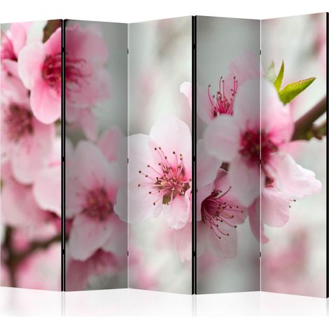Paravento - Spring, blooming tree - pink flowers II [Room Dividers] - 225x172 (1/4)