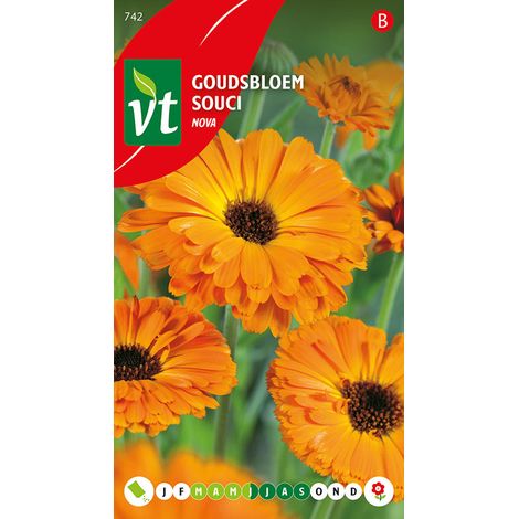Souci Calendula Nova - Ca. 1,25 gr (Livraison Gratuite) (1/2)