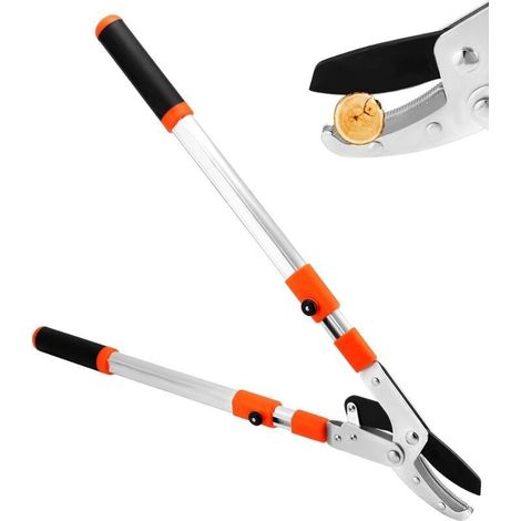 Cisaille à Haie Fiskars 392861-1002 25cm (10") - Lames en Acier Coronium Retaillables Traitées à Chaud