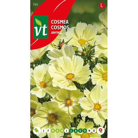 Cosmea Xanthos - Ca. 1 gr (Livraison Gratuite) (1/3)