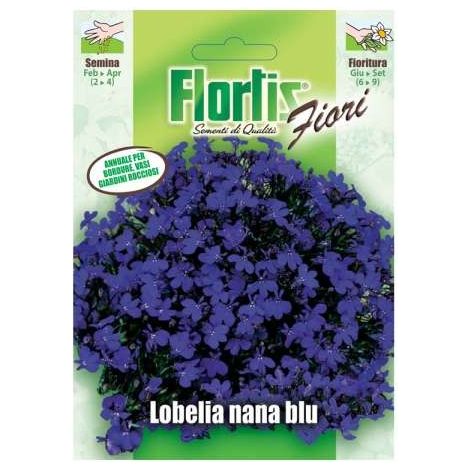 LOBELIA NANA BLU (1/2)