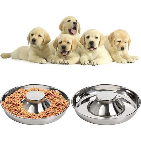 Gamelles Inoxydables Antidérapantes: Lot de 2 Bols 25.4 cm Acier Inoxidable Résistants pour Chien Chat - Nourriture et Eau Animaux de Compagnie (1/5)