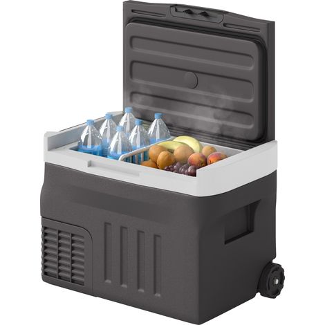 Glacière à compresseur 30 litres, glacière électrique avec LED, mode ECO, connexion, fonction maintien au frais, noire