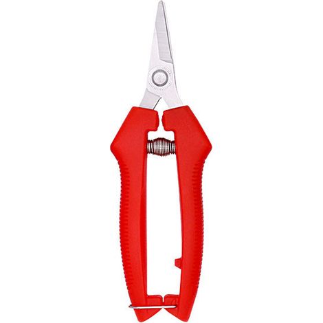 Secateurs En Acier Inoxydable - Tête Allongée - Pour Taille Arbres Fruitiers Et Bonsaï - 1 Pièce (1/5)