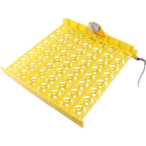 Mini-incubateur pour 56 œufs avec plateau de retournement automatique et moteur (moteur 100-120 V) (1/5)