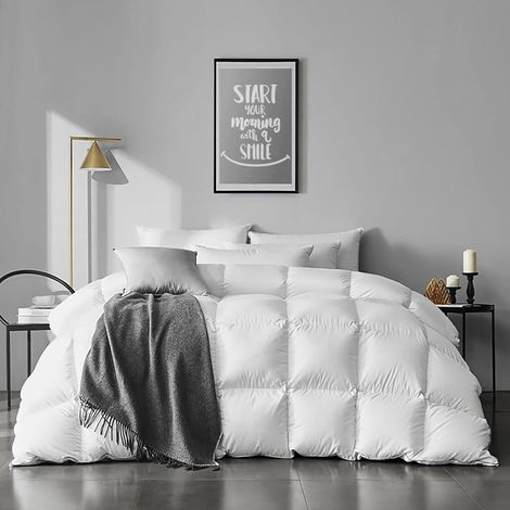 Couette en Duvet et Plume Naturelle 4 Saisons Tempéré pour 2 Personne Couverture Chaude Légère 220 x 240 cm Confortable (1/5)