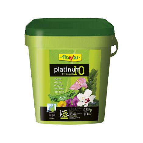 Blume pathinum granuliertes Symp
