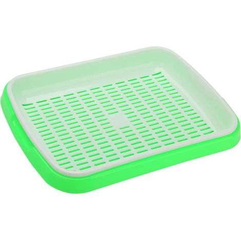 Keimschale 35 kit