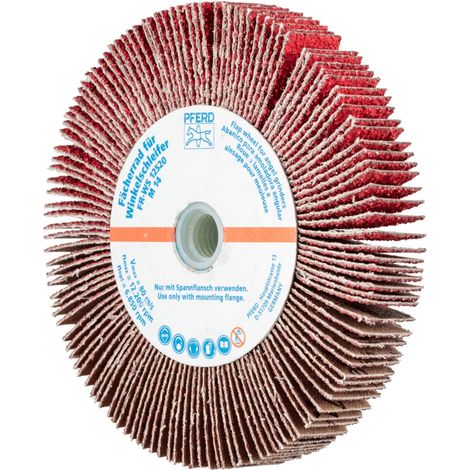 PFERD TOOLS Lamellenschleifrad für Winkelschleifer FR WS Ø 125x20mm M14 CO-COOL40 für Edelstahl 2 Stk (1/5)