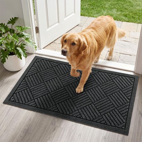 Paillasson antidérapant et lavable - 43 x 75 cm - Gris clair - Pour intérieur et extérieur - Pour entrée et extérieur, entrée, couloir, porte d'entrée (1/5)