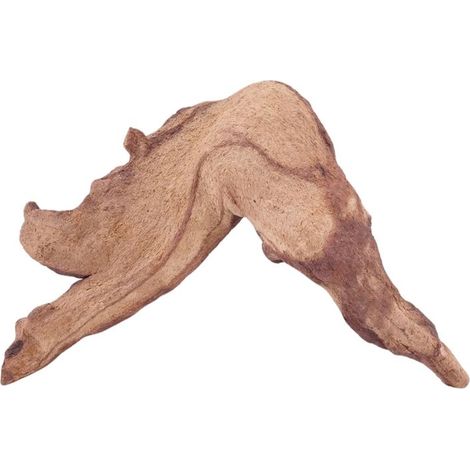 M Mopani Wurzel Nr.4802 Holz Deko Aquascaping