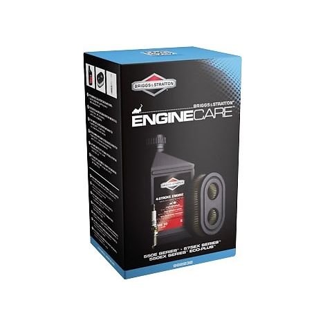 Kit révision tondeuse pour moteur Briggs & Stratton 550E series