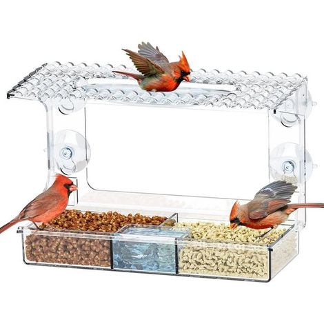 Dispensador de comida para pájaros，2 en 1，Estación de alimentación para pájaros de exterior con ventosas y orificios de drenaje (1/5)
