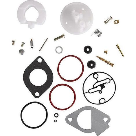 Kit de réparation de carburateur pour tondeuse à gazon, kit de réfection complet pour moteurs Briggs-Stratton 11-19 CV (référence 796184), compatible avec les carburateurs Nikki. (1/4)