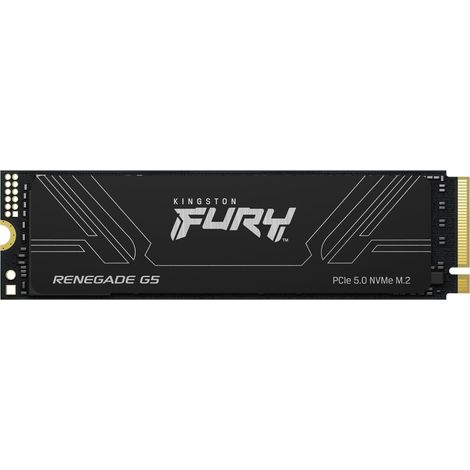 Kingston Technology 1T FURY RENEGADE G5 M.2 2280 NVMe SSD (1/5)