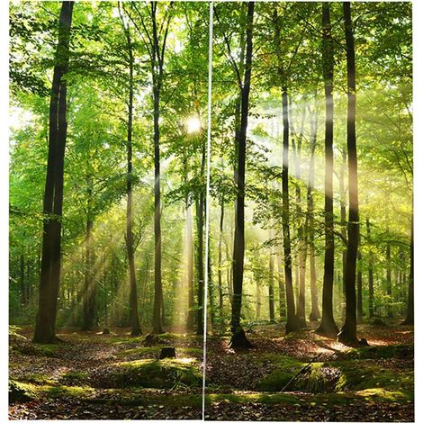 Tende oscuranti con stampa "Foresta e Sole" per balcone, camera da letto, soggiorno e finestra, 170 x 200 cm (1/4)