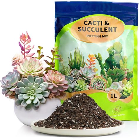 Mélange de terreau pour succulentes, Cactus et bonsaïs – Formule drainante avec Perlite et Vermiculite, Riche en nutriments – 1L (1/5)
