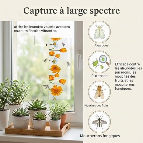 Mouches Piège Autocollant Adhésifs Autocollants à Mouches pour Fenêtre Piège Collant Jaune pour Insectes Volants Fenêtre Papiers pour la Maison Intérieur (1/4)