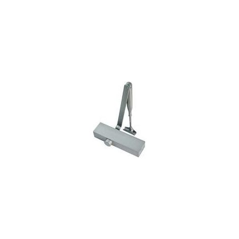 No-name CT250034PL chiudiporta grigio metallico regolabile