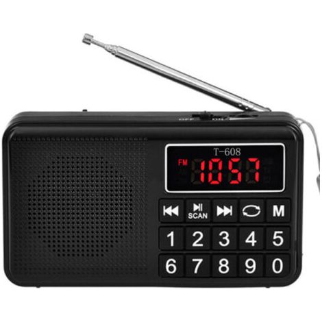 LaBlanc – Tragbares Radio – UKW-Radio – mit wiederaufladbarem Akku hoher Kapazität, MP3-Unterstützung (1/5)