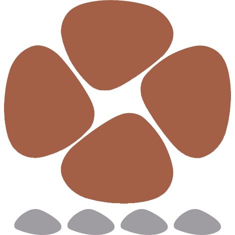 Le produit correspond à l'image principale une commande unique comprend 10 unités de l'article présenté sur l'image principale.