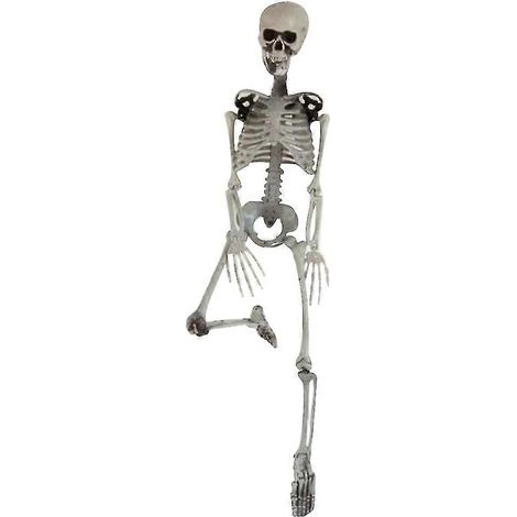 Squelette humain factice de 90 cm, décoration pour Halloween, bar ou maison hantée (1/2)