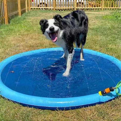 Tapis d'eau rafraîchissant pour chien Fido Splash, aire de jeux aquatique pour animaux, tapis de jardin ludique 78,7 pouces, idéal petit/moyen/grand chien, jeu d'été extérieur rafraîchissant. (1/5)