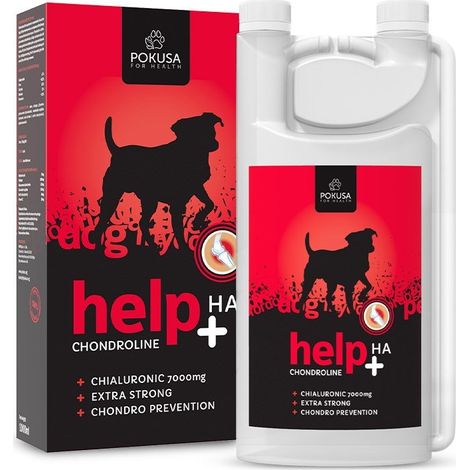 Chondro Line aide HA flacon de 1000 ml
