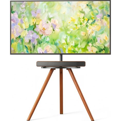 Support TV sur Pied pour Écrans 45 à 65 Pouces, 40 kg (1/5)