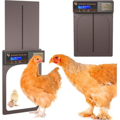 Porte Automatique Poulailler, Porte Poulailler Automatique avec Écran LCD Programmable Étanche, Idéale pour automatiser l'ouverture et la Fermeture d'un poulailler (1/4)
