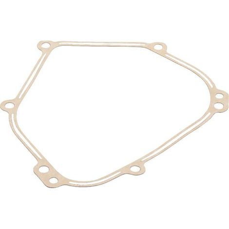 Guarnizione basamento motore BRIGGS ET STRATTON 798462