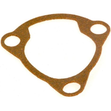 BOSCH Junta (10x), 87010040010