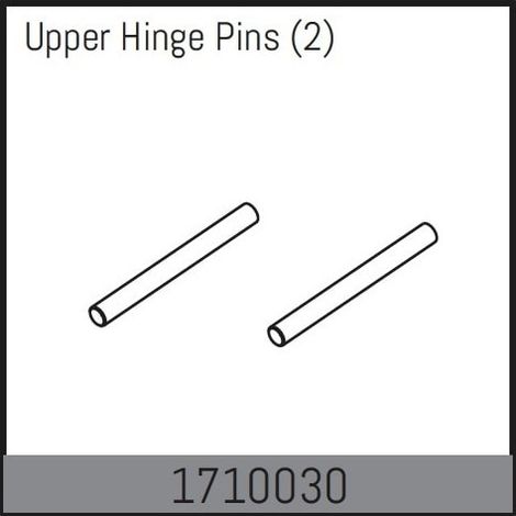 Upper Hinge Pins