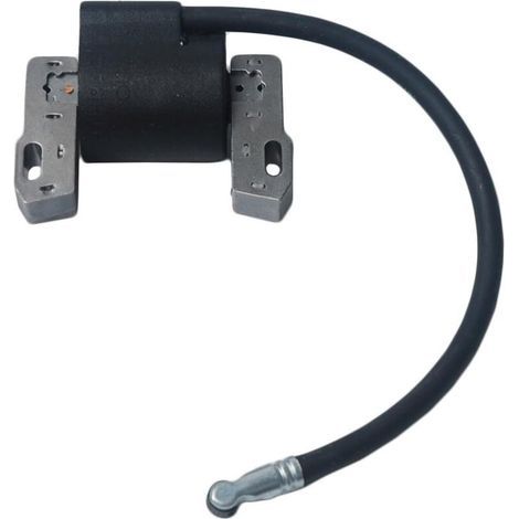 Bobina de encendido de repuesto para magneto - Compatible con los modelos Briggs & Stratton 495859, 491312 y otros. (1/5)