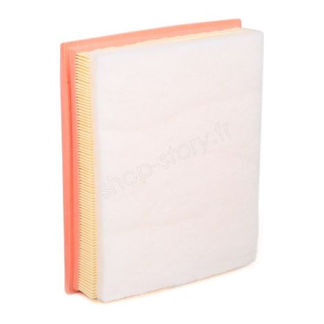 Filtre à Air pour Véhicules  DS/CITROËN/TOYOTA/PEUGEOT & OPEL (1/3)