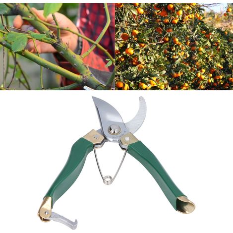 Sécateurs facilitant le travail, cisailles de jardinage et d'aménagement paysager, cisailles pour arbres fruitiers, cisailles agricoles (1/5)
