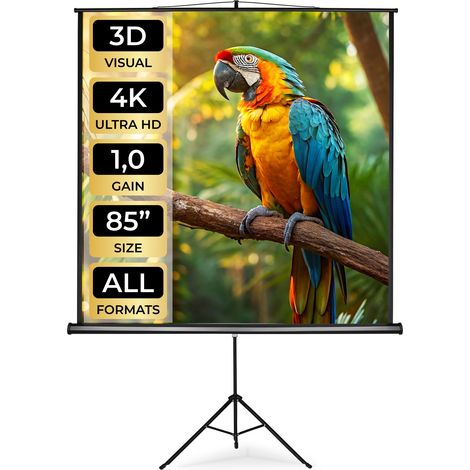 Écran de projection extensible avec un trépied en polyester blanc
