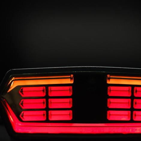 Motorcycle modification parts, Little Monkey LB-WD001 LED lights, rear light modification, brake lights and turn signals.
